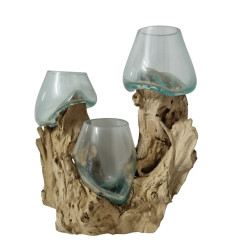 Triple Glass Fish Bowl/Terrarium On Natural Driftwood