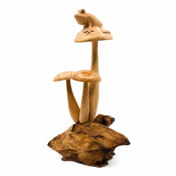 Wooden Frog on Large Mushroom Cluster