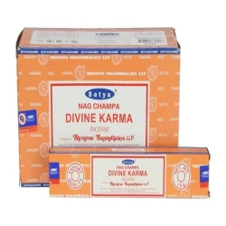 Satya Divine Karma Incense (15gm)