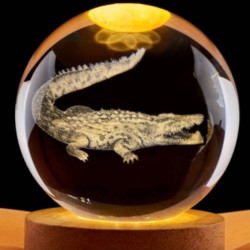 3D Creative Visualization Lamp - Crocodile