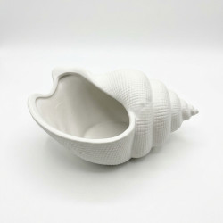 25cm Ceramic Sea Shell Bowl