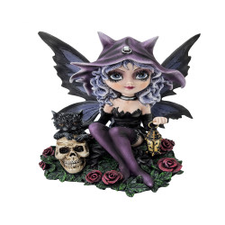 Witch Fairy With Cat And Skull